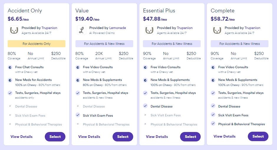 CarePlus Pet Insurance For Cats