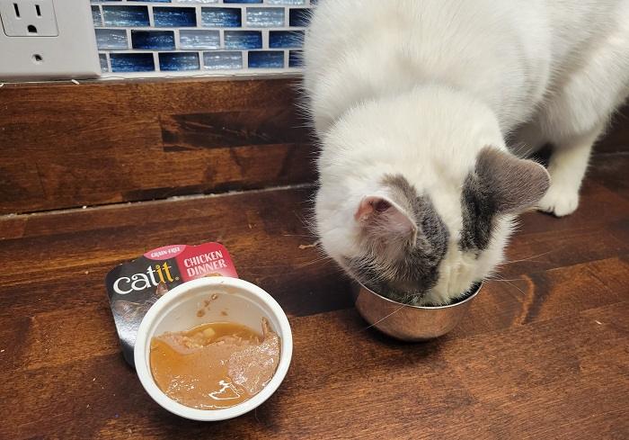 Catit's dinner-style wet foods have a very soft texture, almost between a mousse and a pate.